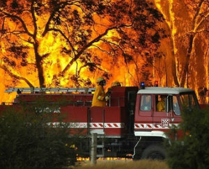 В Австралии горят леса и жилища.