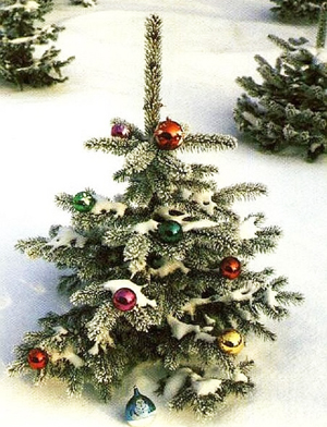 Для празднования Нового года в Башкортостане заготовят 143 тысячи елок