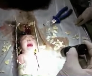 Работники аварийной службы в Китае спасли жизнь младенцу, который был смыт в канализационную трубу
