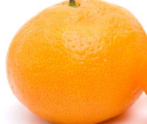 Абхазцы подарили мандарины детям ДНР